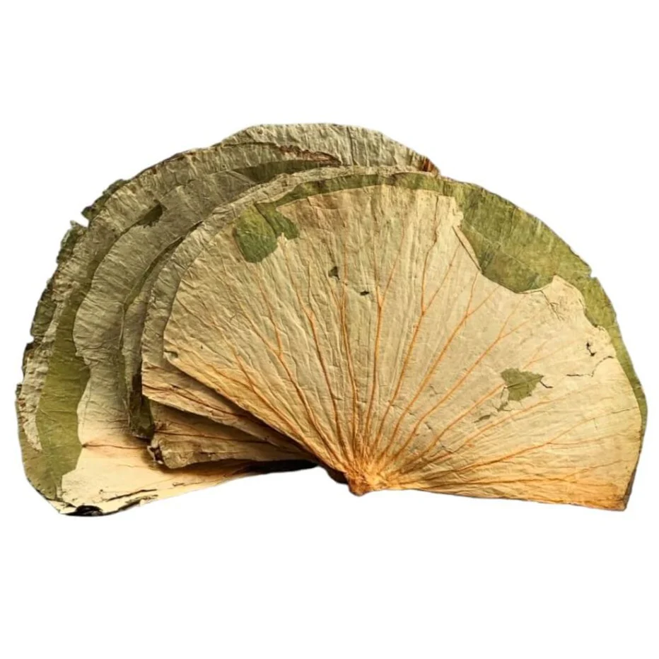 荷葉
