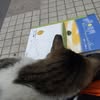 客戶頭像